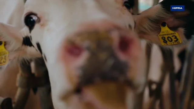 Ease of use and time saving